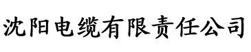 黄大仙精选三肖三码资料五电缆厂logo